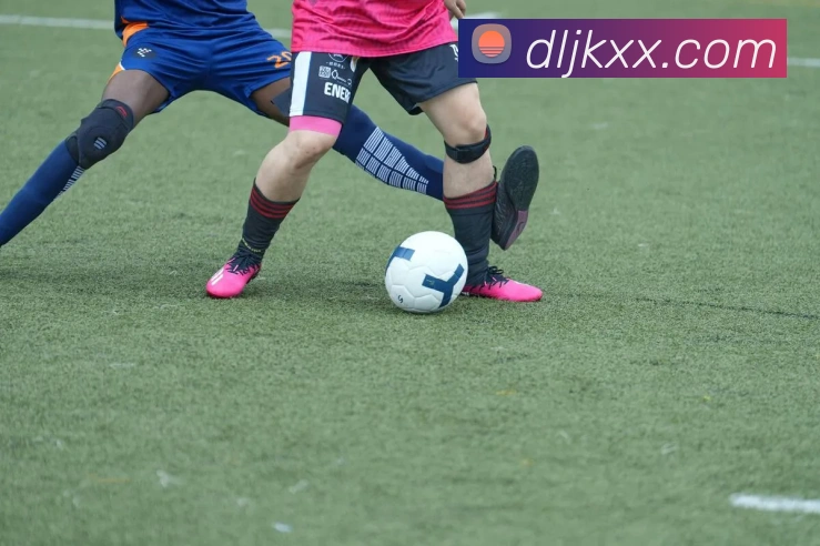 必一体育sport的隐私政策服务体系